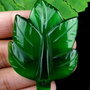 Pandant green cat eye