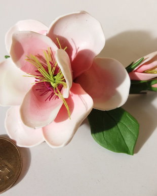 Clamă păr cu magnolie alb- roz