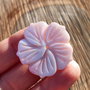 Floare pink shell