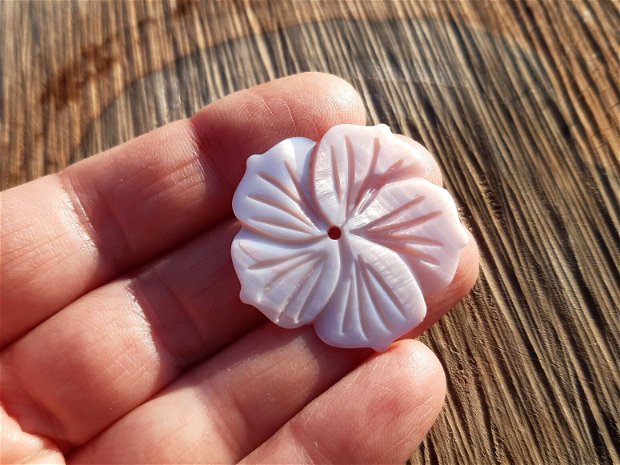 Floare pink shell