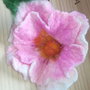 Magnolie