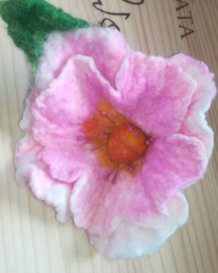 Magnolie