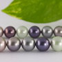 Perle seashell 12mm, cod ID11 (1sirag)