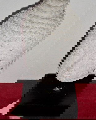 CAP BUDDHA PRAF PIATRA