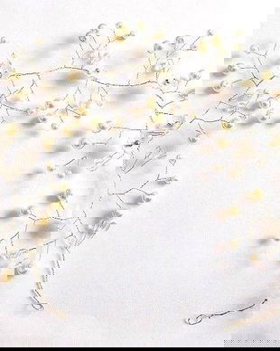 coronita mireasa 34820