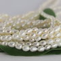 Perle cultura 3-3.5x4-4.5mm, cod ID69 (2)