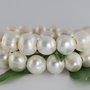 Perle cultura 11-12mm, cod ID82 (1)