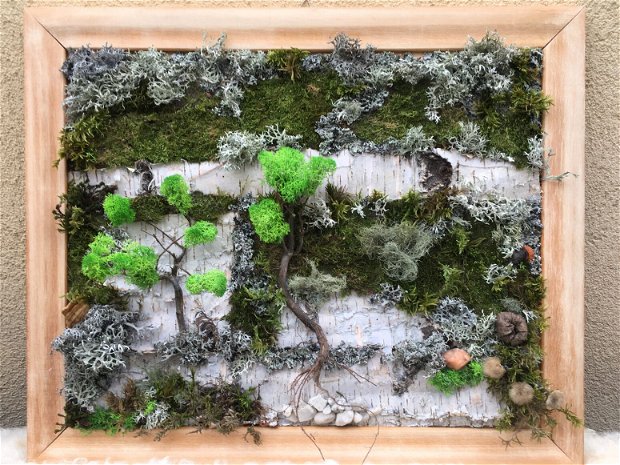 Tablou natura vie I- tablou pe scoarta mesteacan, cu muschi, licheni stabilizati, pietricele, plante uscate