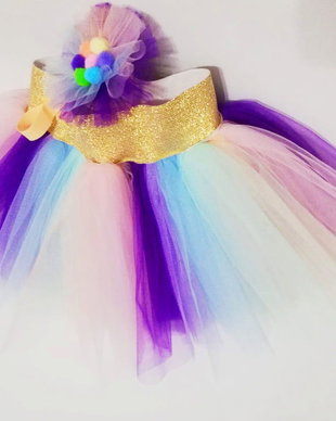 Fusta din Tull Multicolora si Bentita
