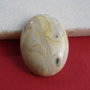 Cabochon crazy lace agate aprox 40x30x8 mm