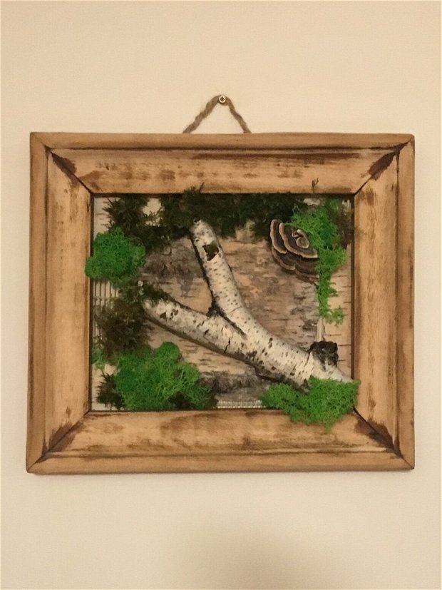 Tablou mesteacan solitar - tablou cu rama din lemn , înfrumusețat cu licheni stabilizati, muschi