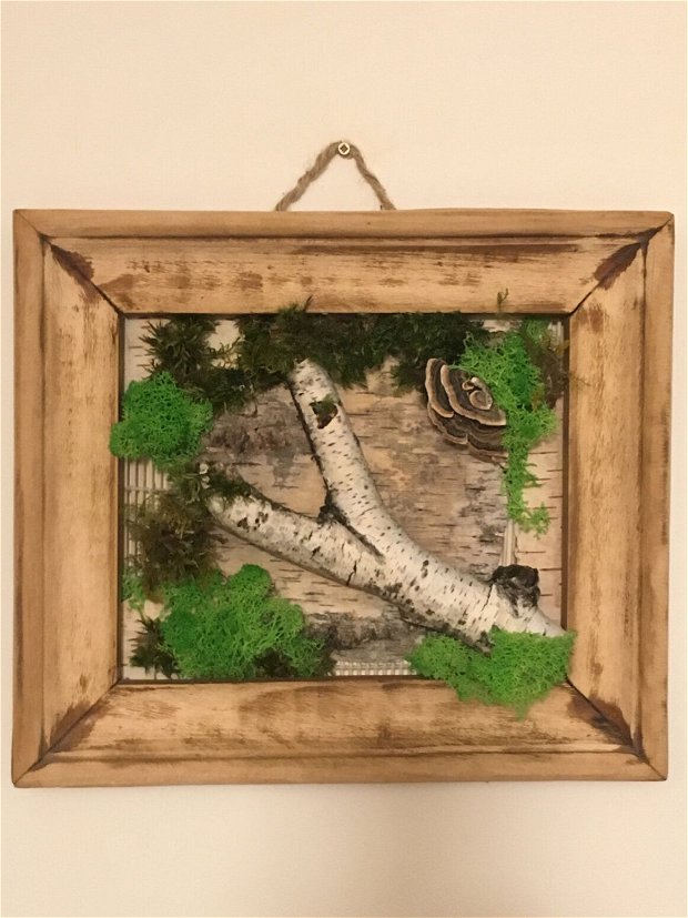 Tablou mesteacan solitar - tablou cu rama din lemn , înfrumusețat cu licheni stabilizati, muschi