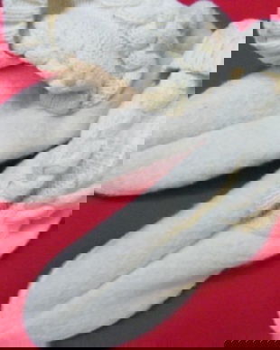 NOI-Botosei caldurosi