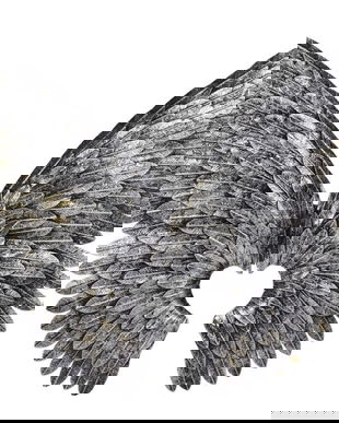 Doua  aripi argintii din fier forjat