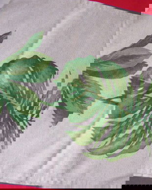 Traversa frunze exotice