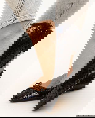 Balerini Rishi Negri