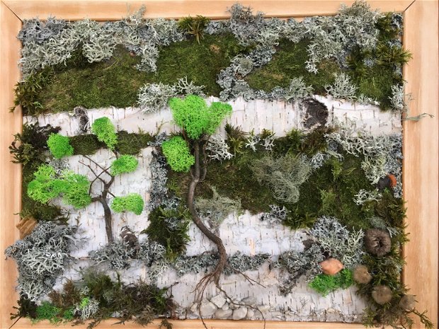 Tablou natura vie I- tablou pe scoarta mesteacan, cu muschi, licheni stabilizati, pietricele, plante uscate
