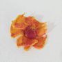 Brosa impaslita - Floare de Foc