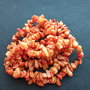 Lchips 49 - coral portocaliu