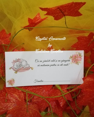 Plic de bani botez pisicta Marie