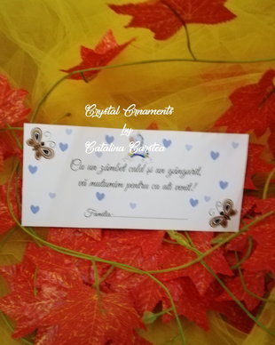 Plic de bani botez fluturasi si inimioare