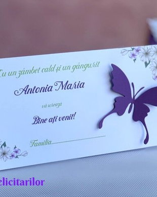 Plic de bani botez cu fluturas mov