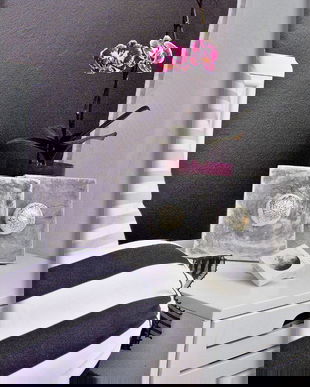 Set 2 tablouri cu arici de mare - cutiuta cadou