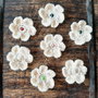 Floricele crosetate manual