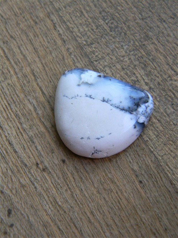 Caboson opal dendritic (C3)