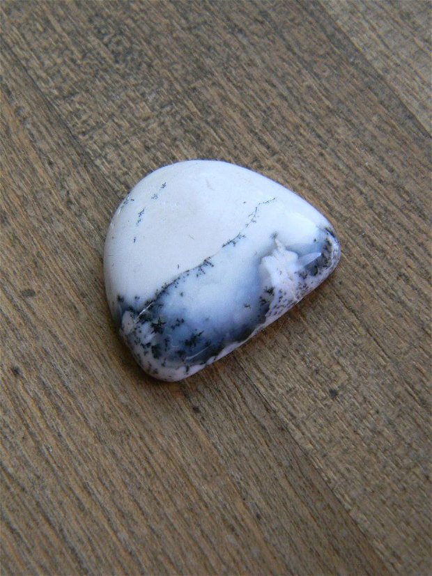 Caboson opal dendritic (C3)