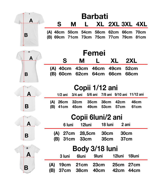 Set de 4 tricouri aniversare pentru,parinti  surioara si copil, personalizate cu nume,varsta si mesaj,print de 1 anisor