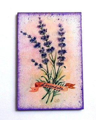 magnet frigider  lavanda 36335