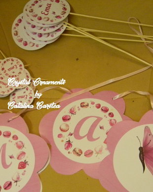 Decoratiuni candy bar/ toppere prajituri