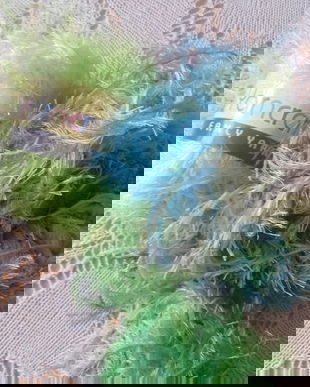 fir cu nuante de verde
