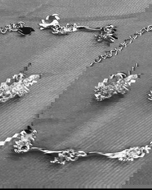 SET DIN ARGINT CU ZIRCONIU