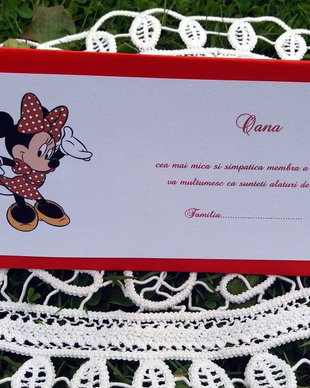 Plicuri de bani Minnie