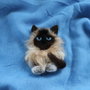 Brosa  din lana impaslita`Fifi`