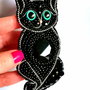 Rezervat Broșă - The Little Black Cat
