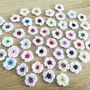 Floricele crosetate manual