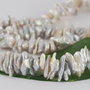 Perle keshi 10~15x7~8x2~5mm, cod P67B
