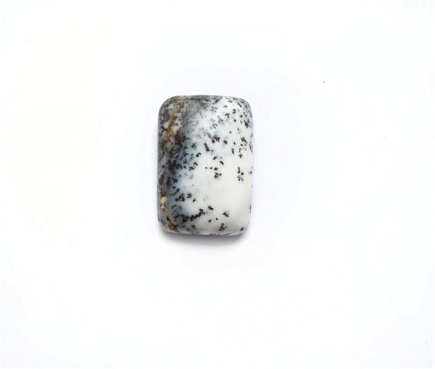 Cabochon  opal dendritic - L97