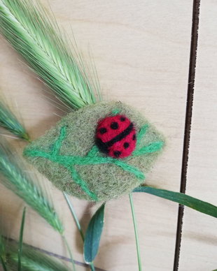 Clips păr - Resting ladybug