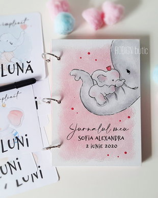 Jurnalul bebelusului personalizat cu nume pictat manual