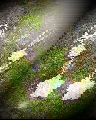 cercei unicat, cu motiv floral, din cupru pictat cu argint, accesorizati cu bile de cuart transparent