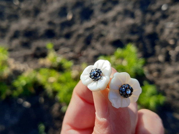 Cercei flori sea shell