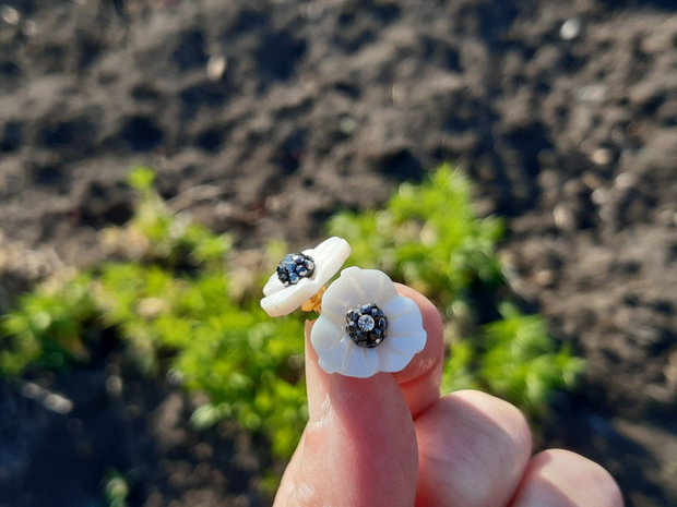 Cercei flori sea shell