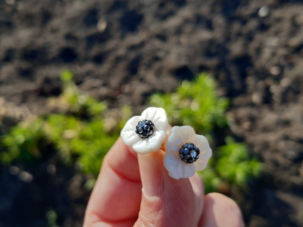 Cercei flori sea shell