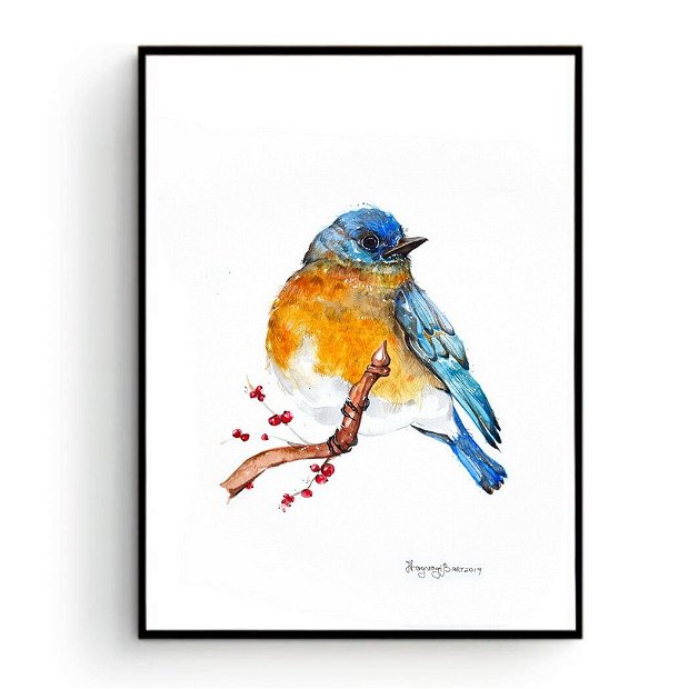 Blue Robin - Pictura Originala in Acuarela, Tablou - Birds Collection