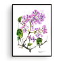 Liliac - Pictura Originala in Acuarela - Nature & Colors Collection