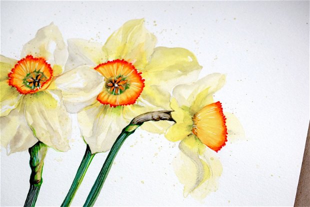 Narcise - Pictura Originala in Acuarela - Nature & Colors Collection